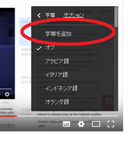 zi10 254x300 - YouTubeで外国語の動画に字幕を付ける方法