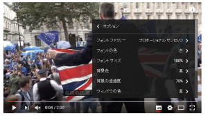 zi4 300x168 - YouTubeで外国語の動画に字幕を付ける方法